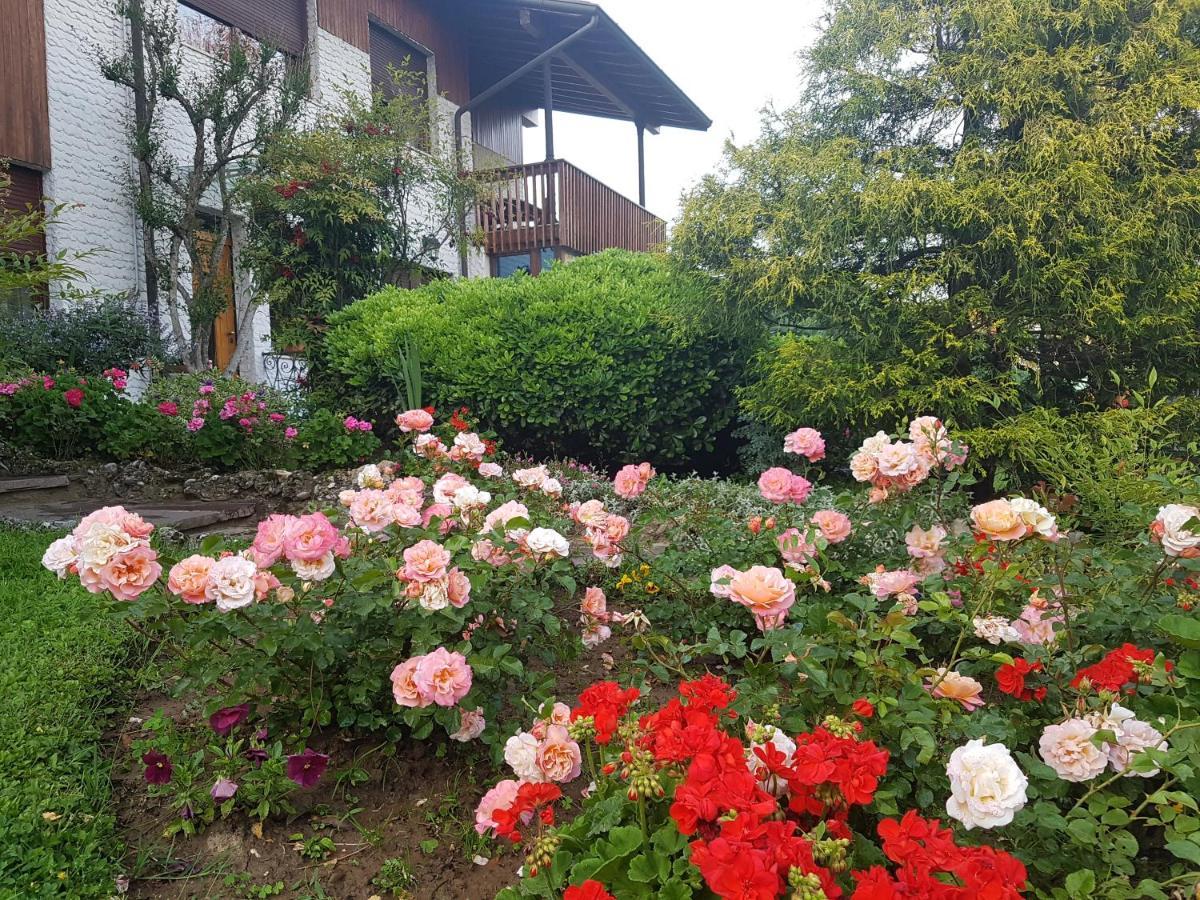 B&B Fontanella Curno Екстериор снимка